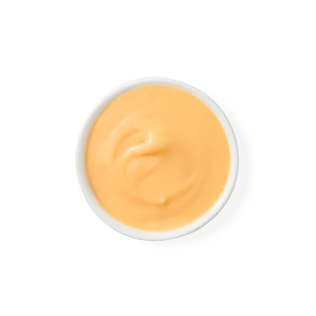 Wisconsin Cheddar Cheese Sauce