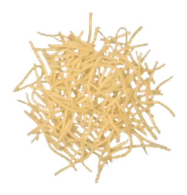 Cheese