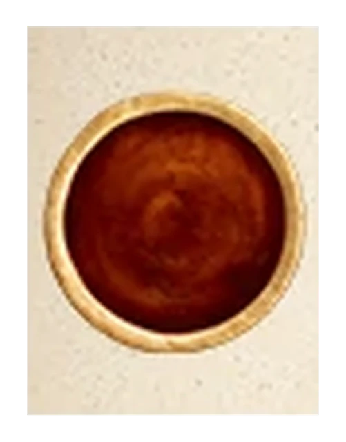 Barbeque Dipping Sauce (3 oz)